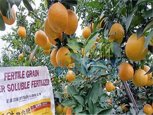 柑橘膨果转色期用什么水溶肥好？