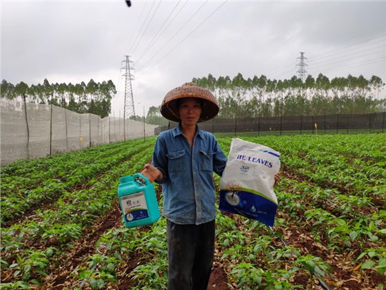 水溶肥-蔬菜用沃叶水溶肥.png