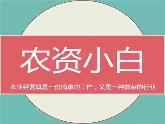 围观“农资小白”三年根据地变“摇钱树”.png