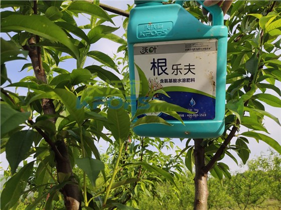 水溶肥-桃树用沃叶根乐夫生根剂1.png