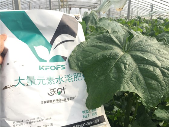 大量元素水溶肥-丝瓜用沃叶大量元素水溶肥.png