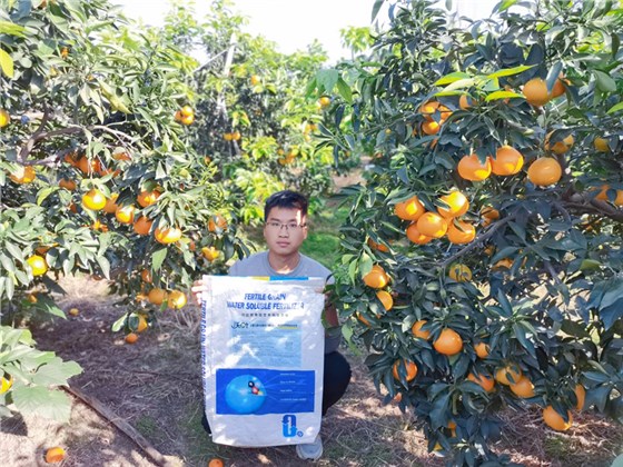 柑橘树施什么肥最好-沃叶水溶肥系列.png