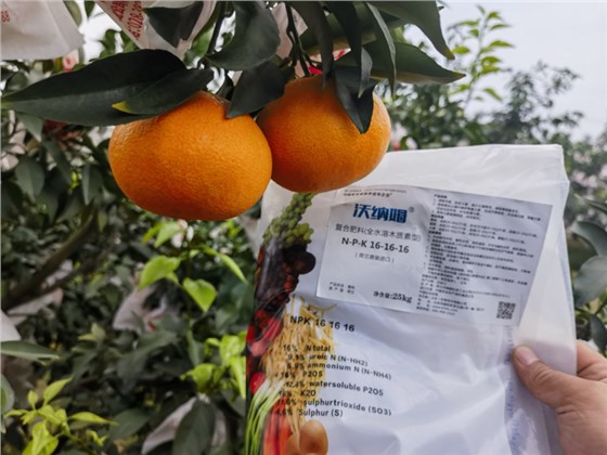 调节土壤酸碱度的肥料-柑橘用沃纳姆效果.png