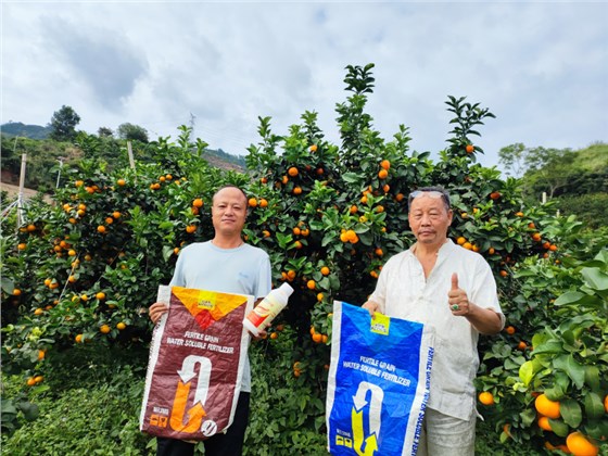 土壤板结-柑橘用沃叶水溶肥用户见证.png