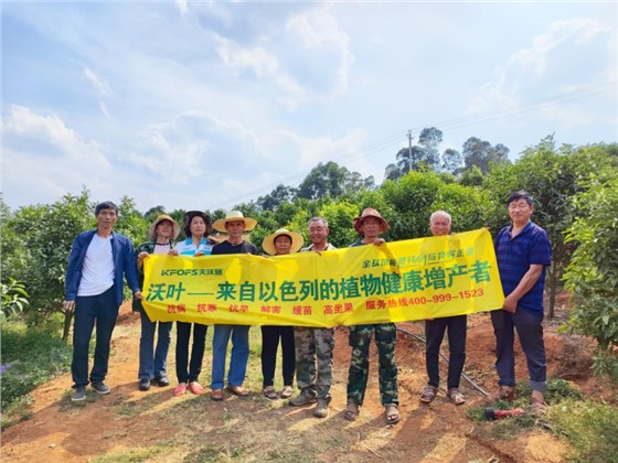 怎么让土壤变得肥沃-夫沃施观摩会.png