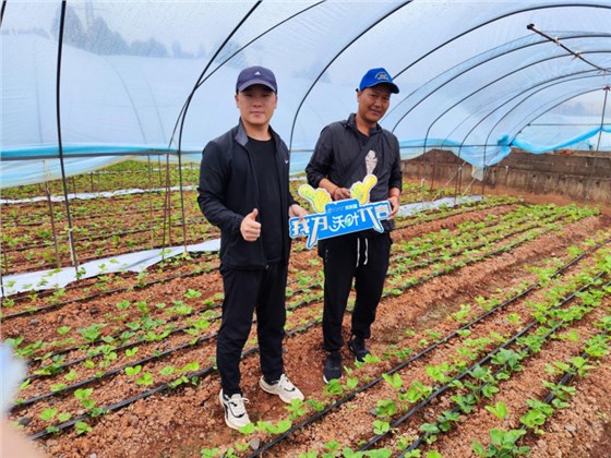 水溶肥-夫沃施功能水溶肥用户见证1.png