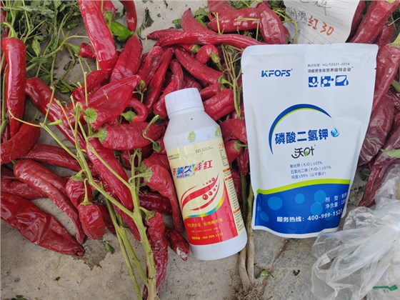 磷酸二氢钾是叶面肥吗-沃叶磷酸二氢钾1.png