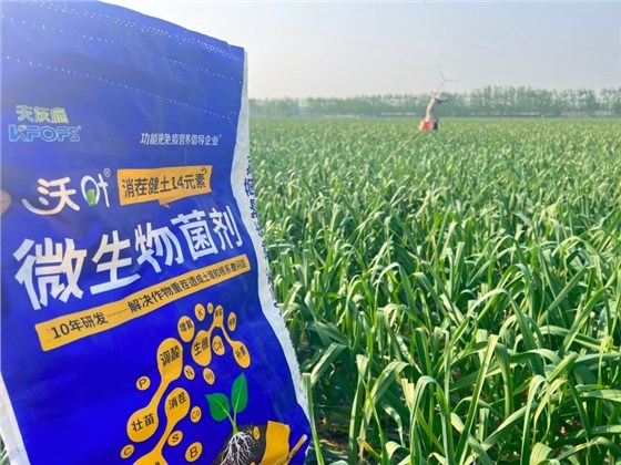 大蒜提苗养根肥-沃叶消茬健土14元素.jpg