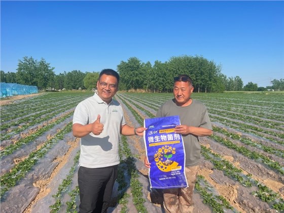 改良土壤的简单方法-消茬健土14元素花生.JPG