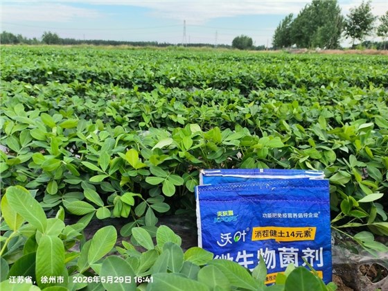 微生物菌剂-沃叶消茬健土14元素微生物菌剂花生 (1).jpg
