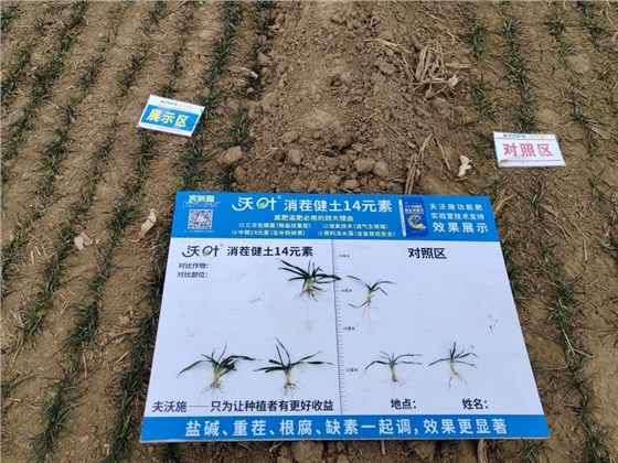 微信图片_20261016150336_864_1_副本.jpg