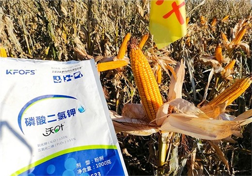 玉米施肥全优营养方案-沃叶篇