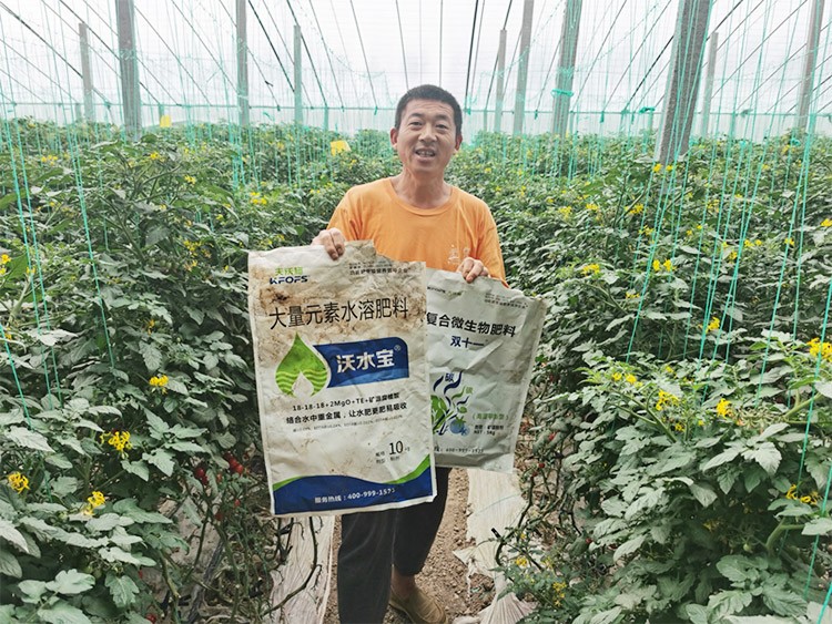 水溶肥厂家夫沃施都说好？好在哪？