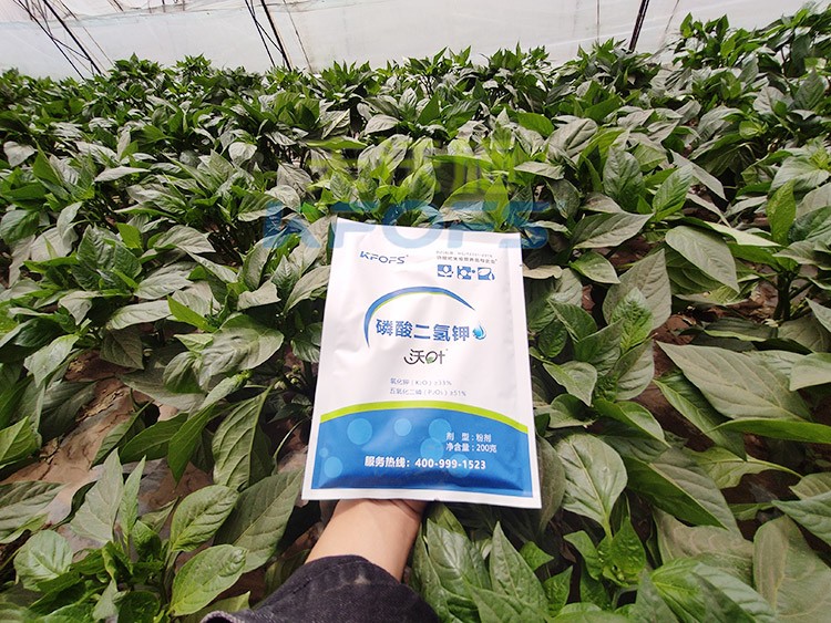 磷酸二氢钾的正规厂家是什么样的？
