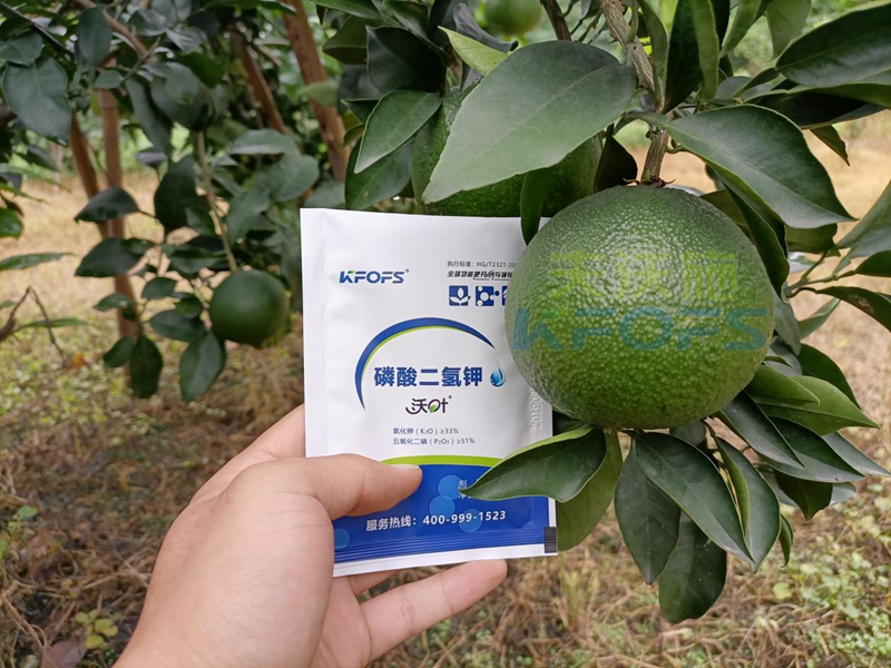 磷酸二氢钾在果树上使用有什么好处？