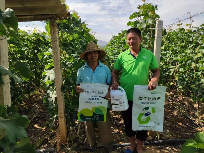 水溶肥-葡萄用采法特水溶肥套餐.png