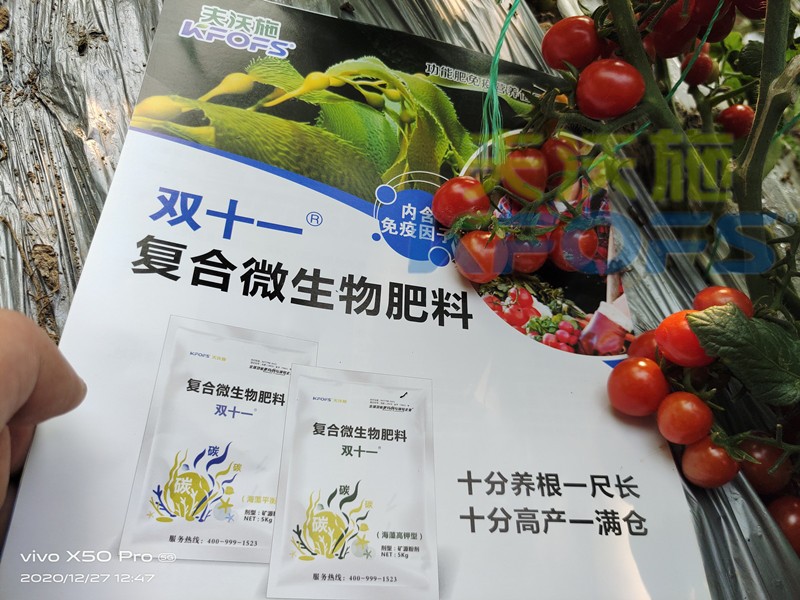 双十一复合微生物肥料让番茄色泽好