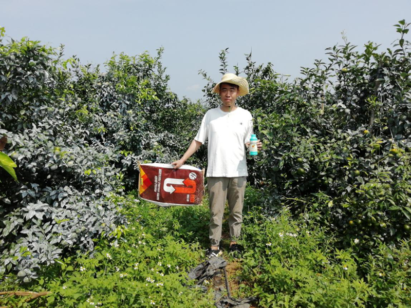 颗粒水溶肥-沃叶颗粒水溶肥用户见证.png