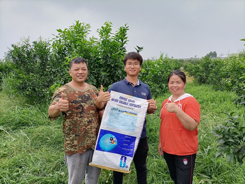 颗粒水溶肥-柑橘用沃叶颗粒水溶肥效果.jpg