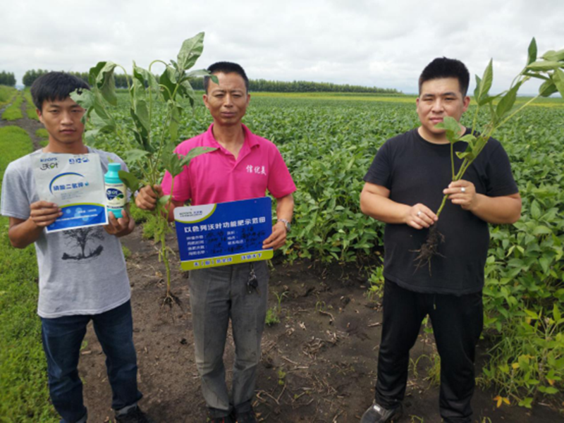 水溶肥-大豆使用沃叶水溶肥效果.png