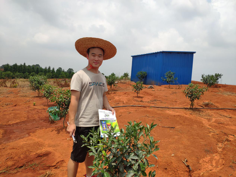 颗粒水溶肥-柑橘苗使用沃叶颗粒水溶肥效果1.png