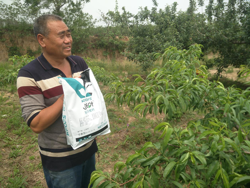 水溶肥-桃树用沃叶水溶肥效果.png