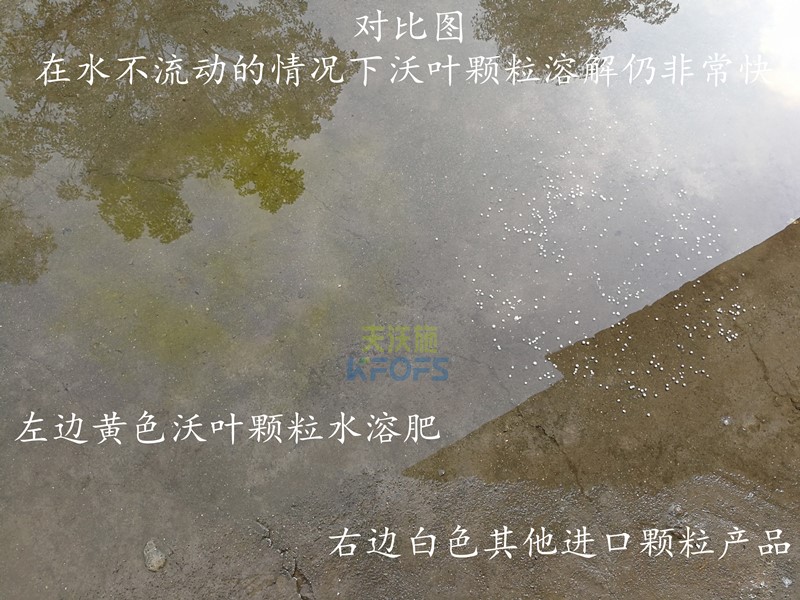 颗粒水溶肥哪个品牌好-沃叶颗粒水溶肥.jpg