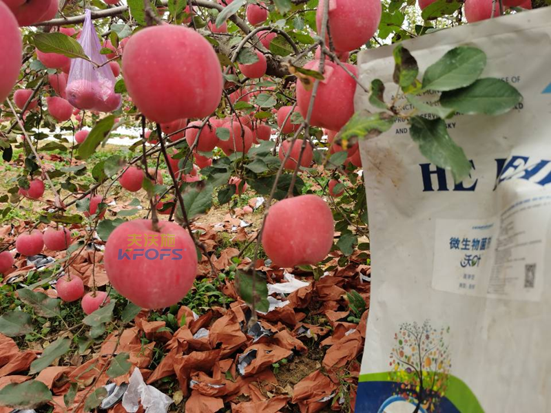 水溶肥-苹果用沃叶微生物菌剂水溶肥_副本.png
