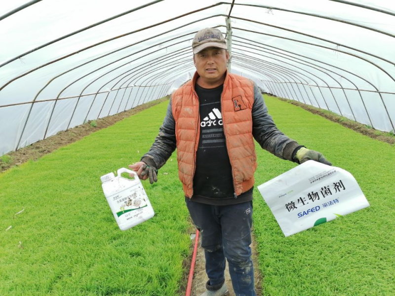 微生物菌剂-采法特微生物菌剂用户见证.png