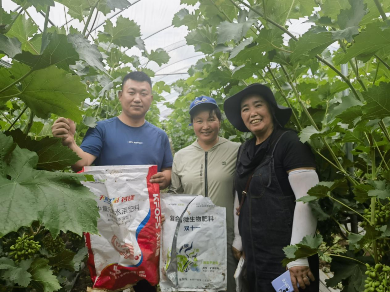 微生物肥料-双十一复合微生物肥料用户见证.png