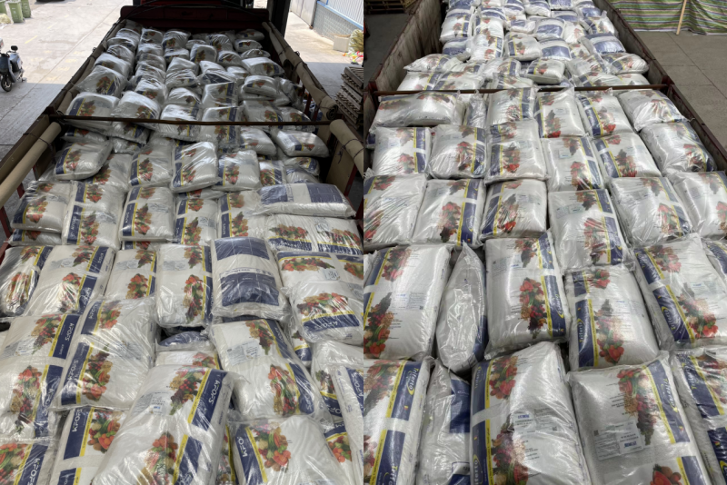 大蒜冲施肥用什么肥料好-沃纳姆.png