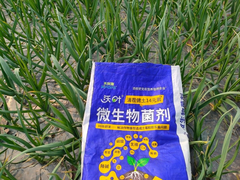 大蒜提苗养根肥-沃叶消茬健土14元素 (3）.jpg