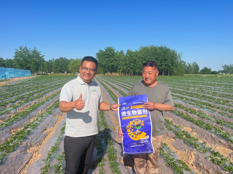 改良土壤的简单方法-消茬健土14元素花生.JPG