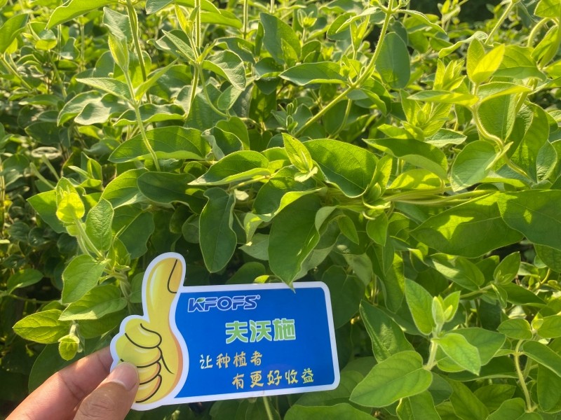IMG_2654_副本.jpg